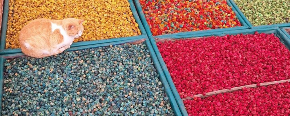 Marrakesz – pierwsze 48 godzin –miasto, które atakuje zmysły